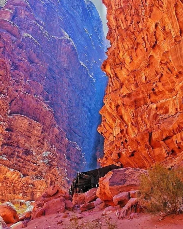 Tamim Luxury Wadi Rum Camp Zewnętrze zdjęcie
