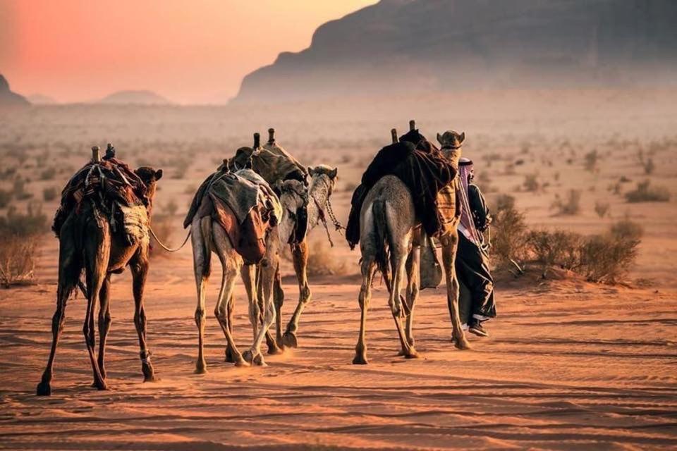 Tamim Luxury Wadi Rum Camp Zewnętrze zdjęcie